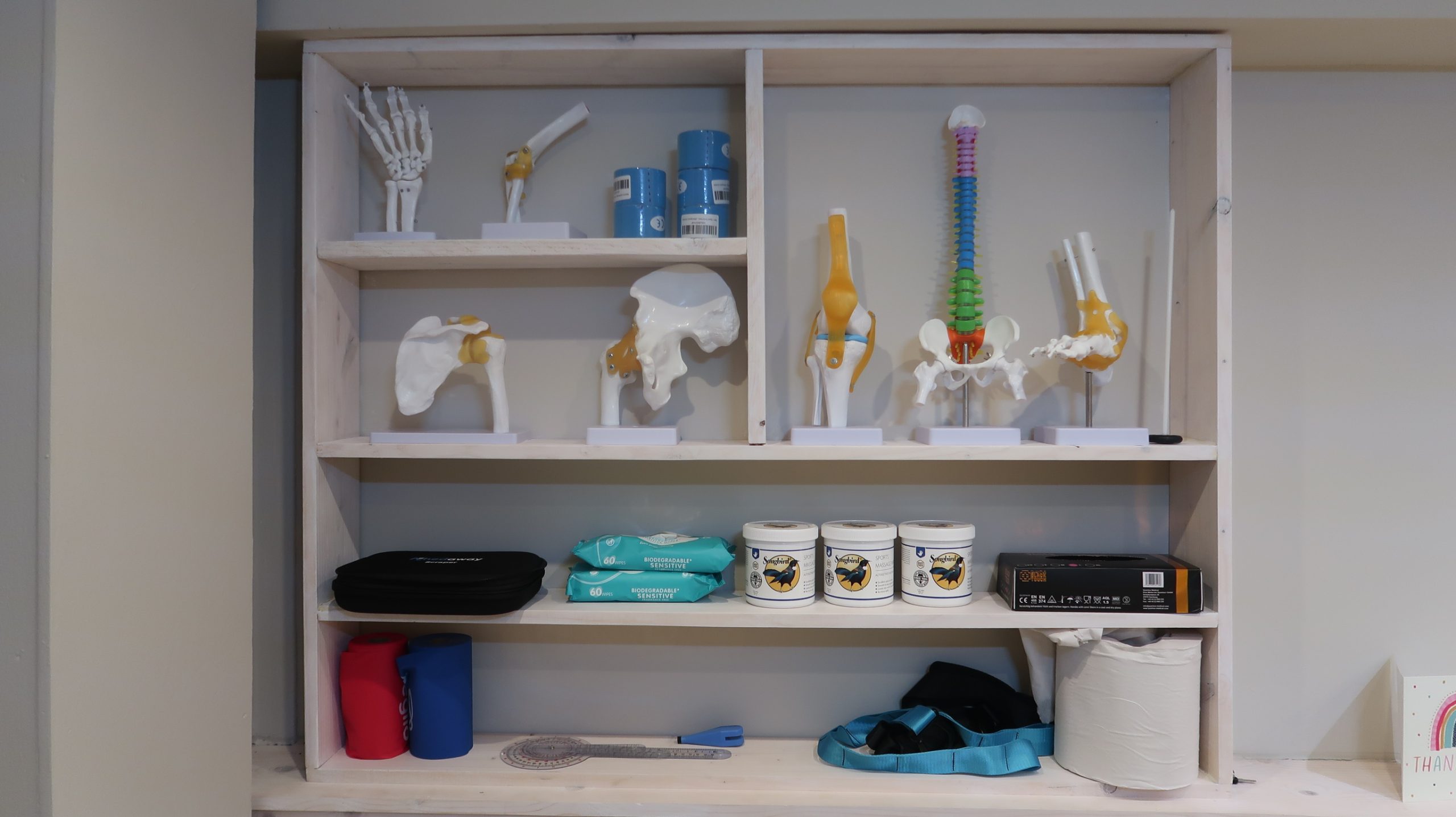 Anatomy models and rehabilitation equipment used at HB Physiotherapy